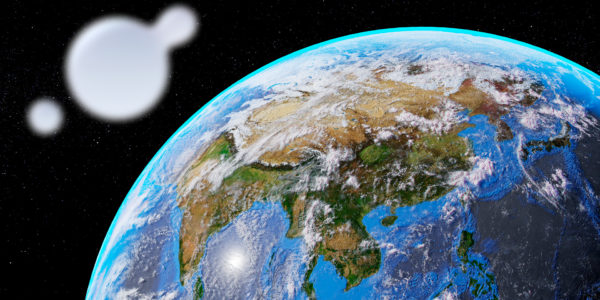 Esferize accelerates growth in Europe and beyond